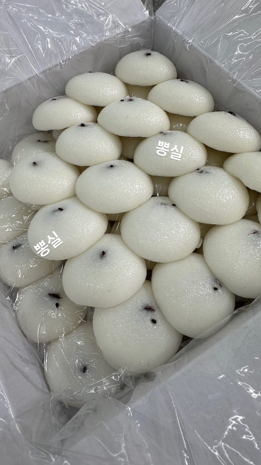 오늘 떡 나왔어요🤍♥️