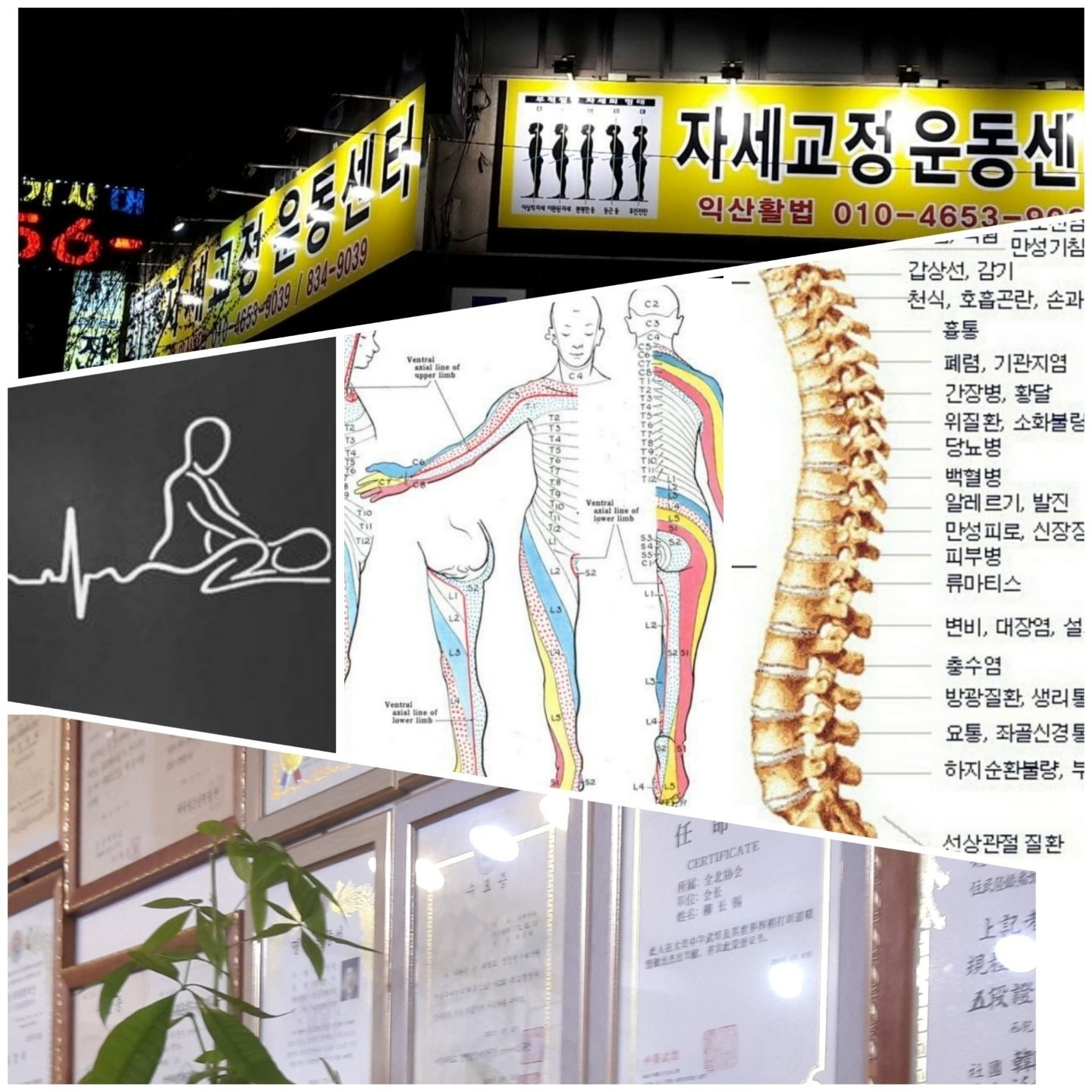 척추골반자세교정운동센터익산활법 picture 6