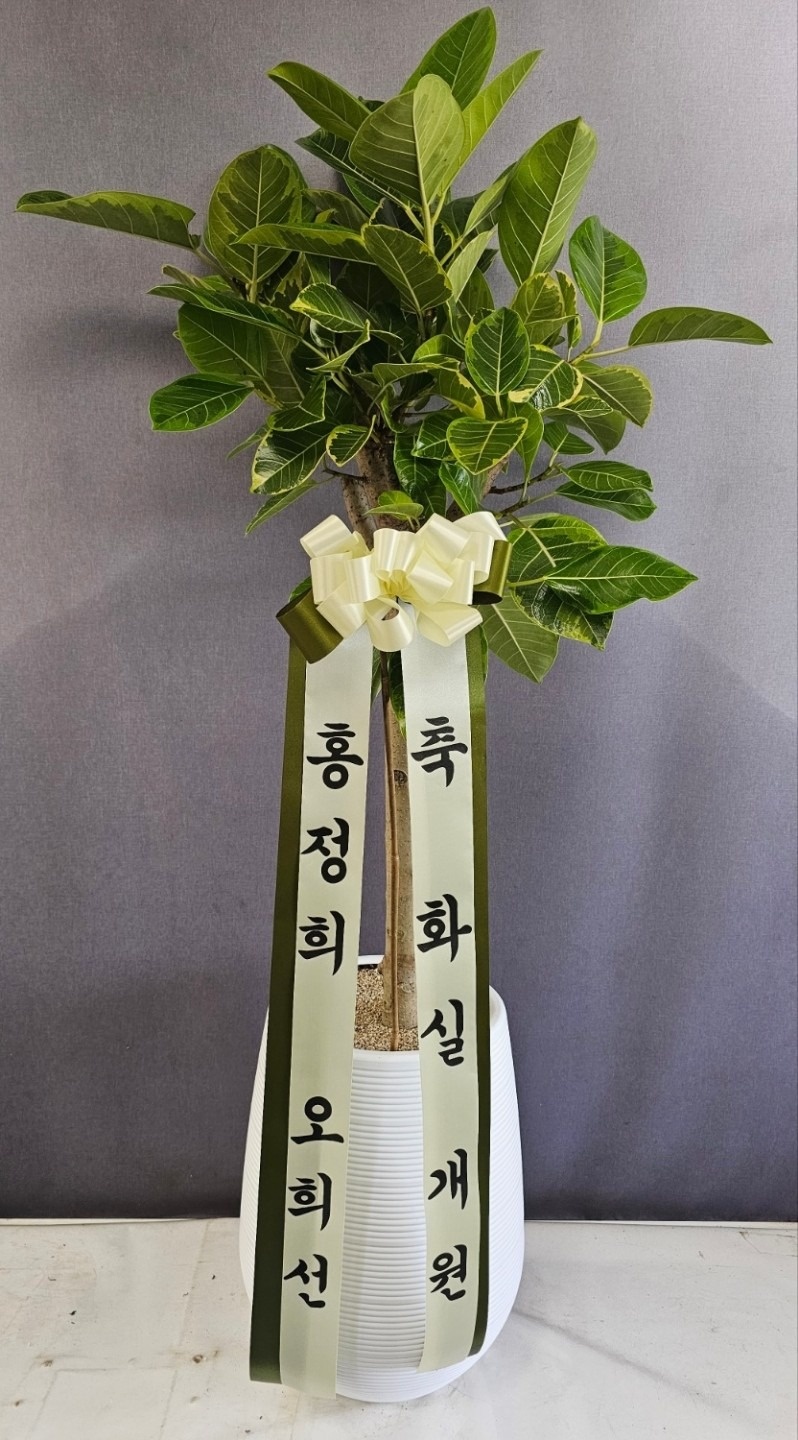 김영옥플라워 picture 3