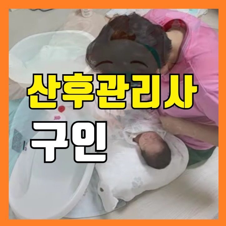 산후도우미 신입.경력■주부.모집 ●중랑구●노원구