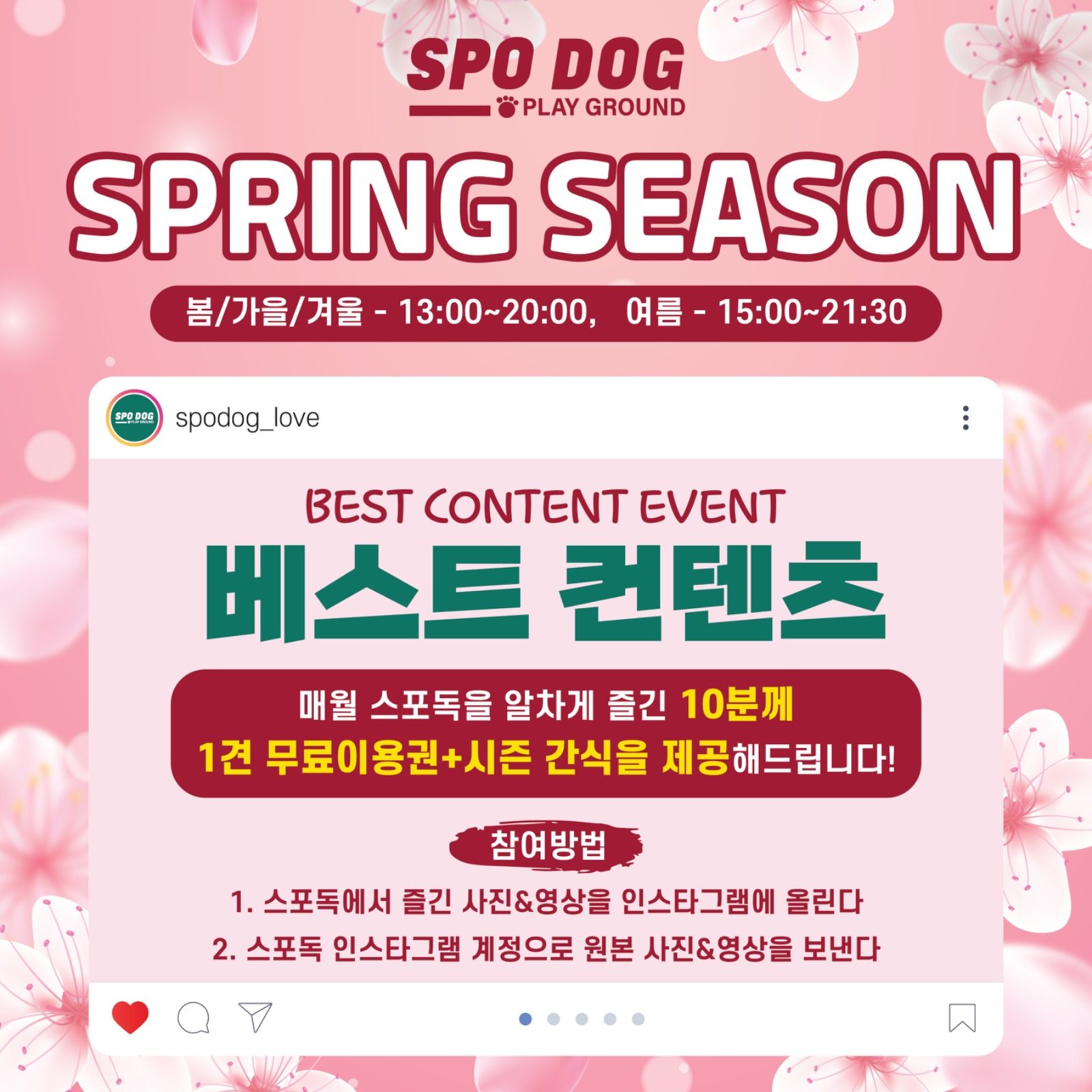 🌸봄 시즌 & New 베스트 컨텐츠 알림📢