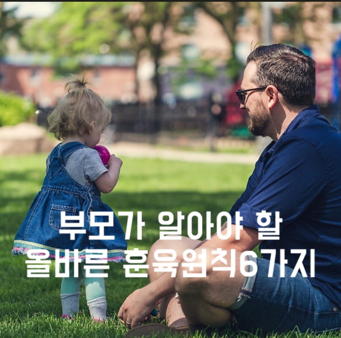 부모가 알아야할 올바른 훈육원칙 6가지📢