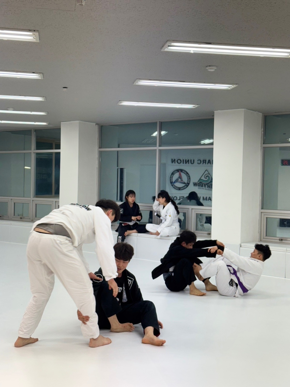 위드플로우 주짓수 picture 4