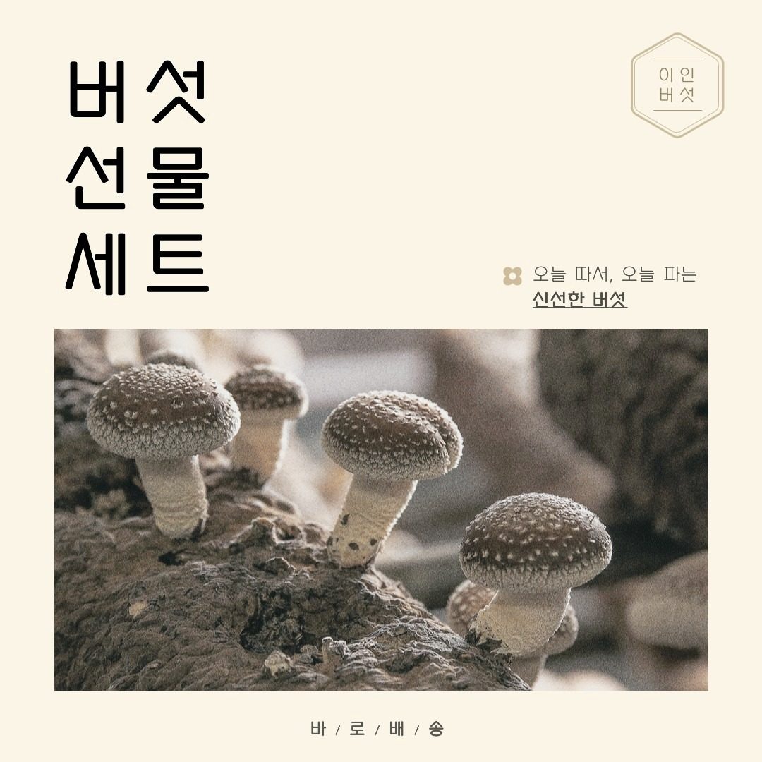 🧧25년 새해 설 맞이 선물세트/버섯판매🧧