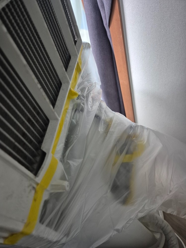 홈케어국가대표 picture 2