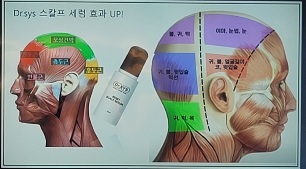 닥터시스 설클럽 picture 5