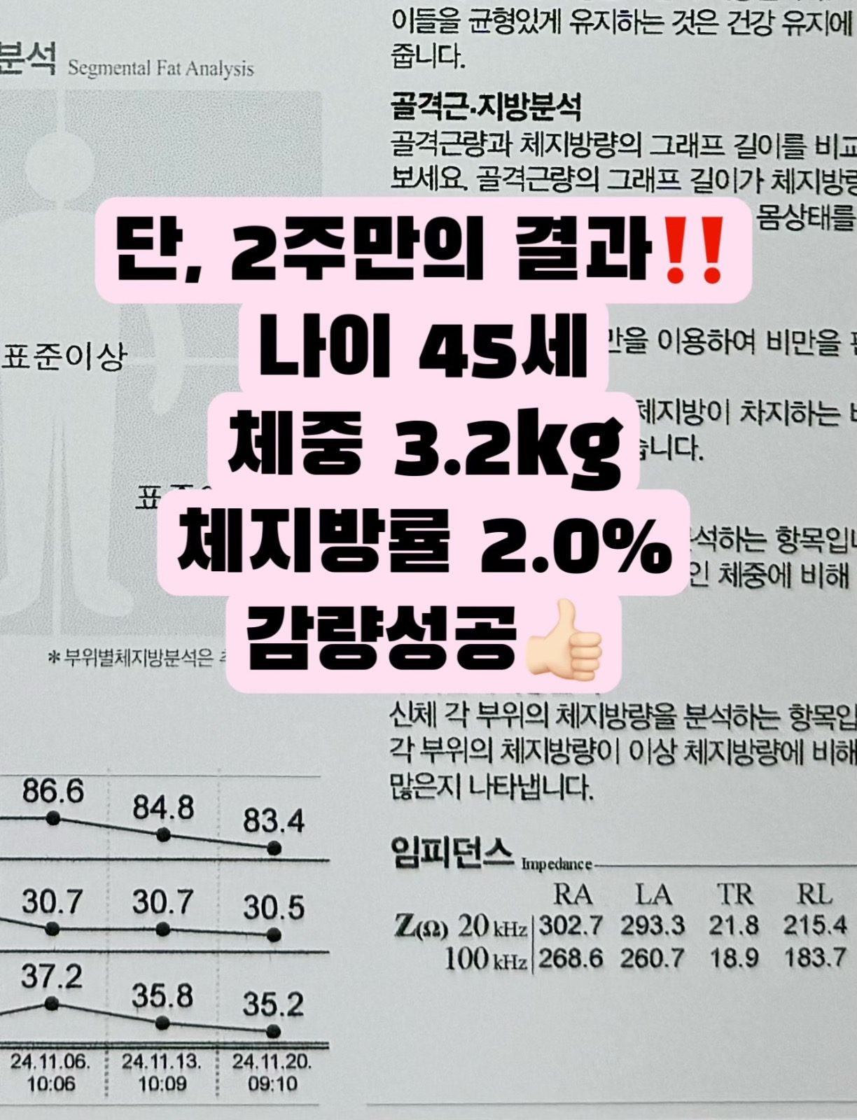 🩵무료체험🩵신년 이벤트 팡팡🎉