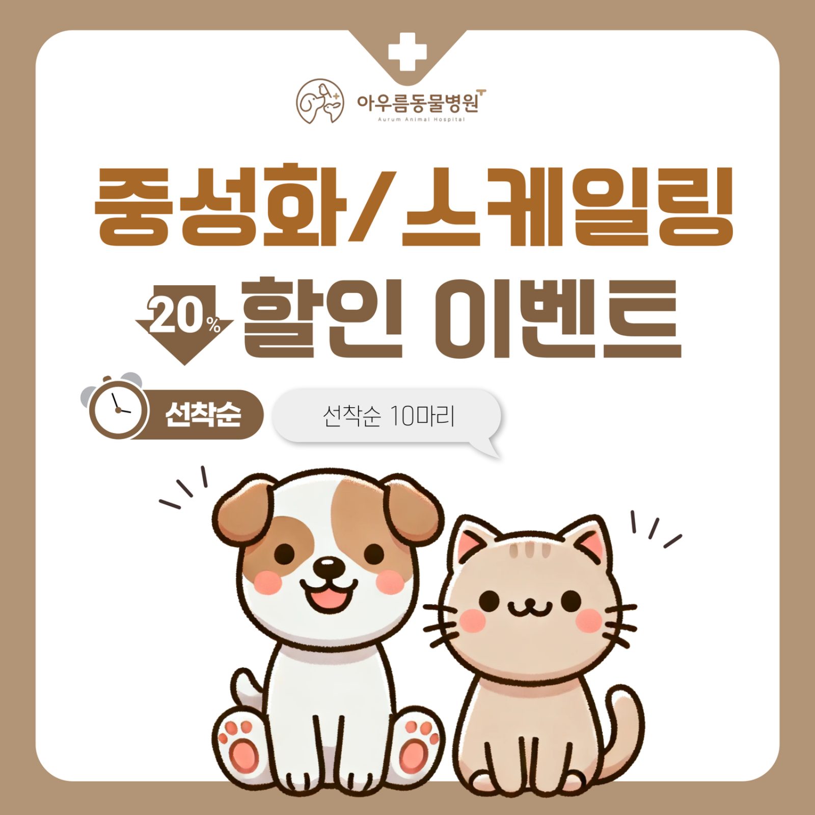 🎉 오픈 기념 할인 이벤트