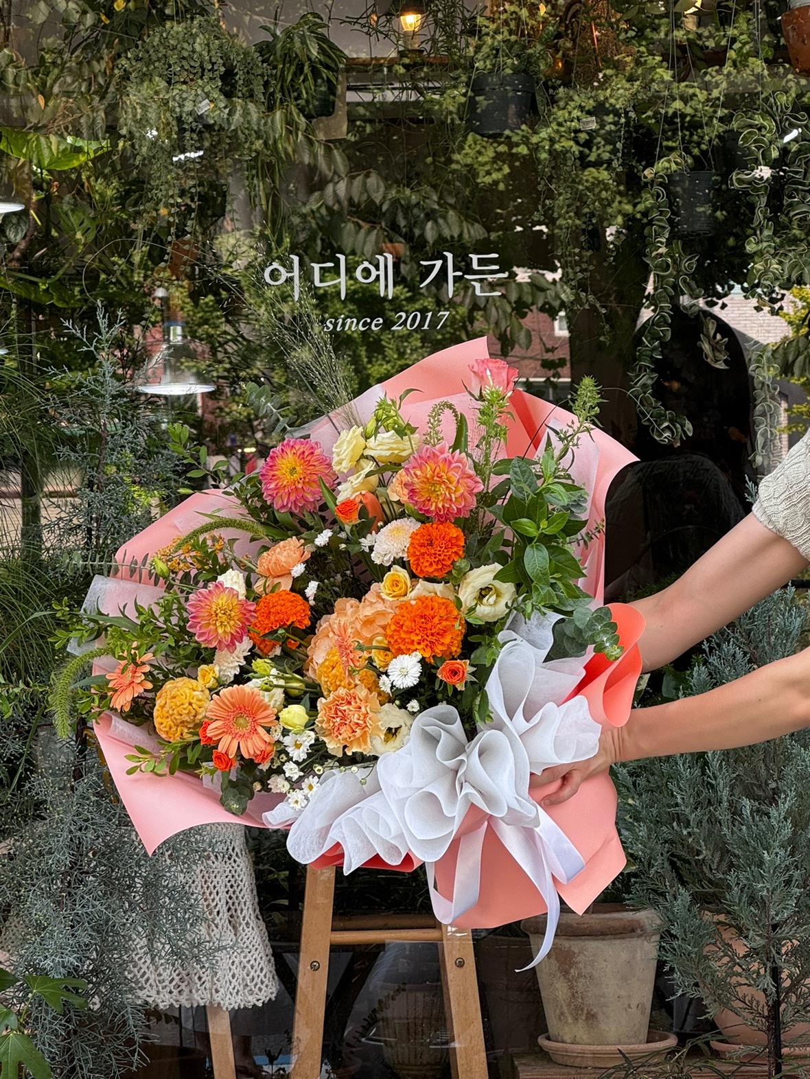 어디에가든 picture 6