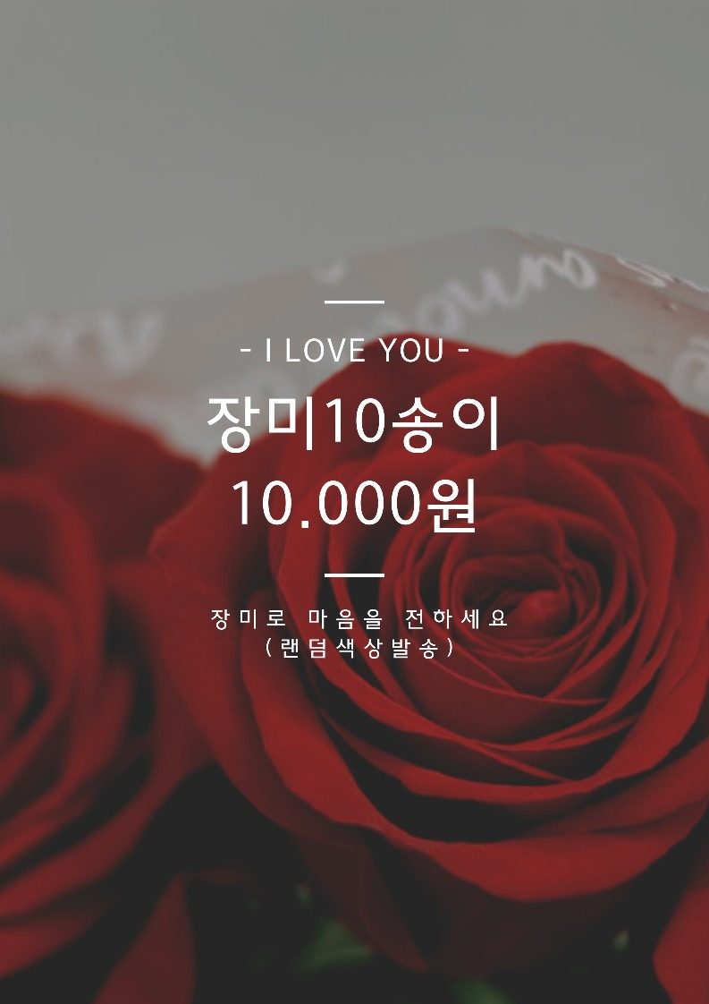장미 10송이 1만원 한정수량 이벤트