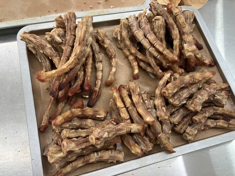 죽쑤어개준다 picture 7
