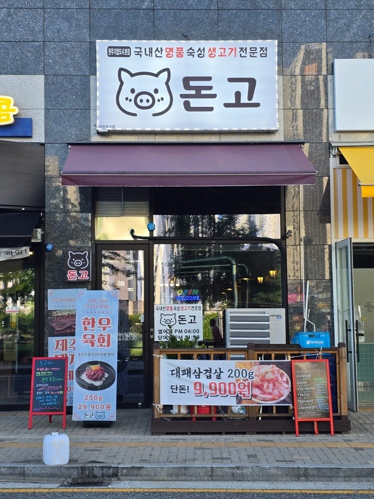 돈고 picture 1