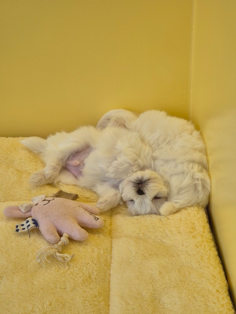 나 비야 picture 7