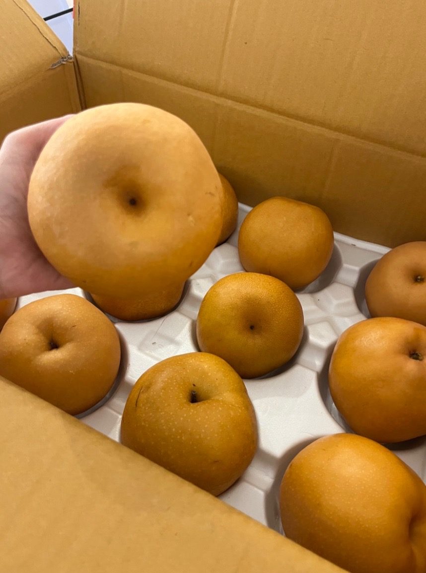 입덧·소화불량에도 꿀맛! 울산샌드 드셔보셨나요?
