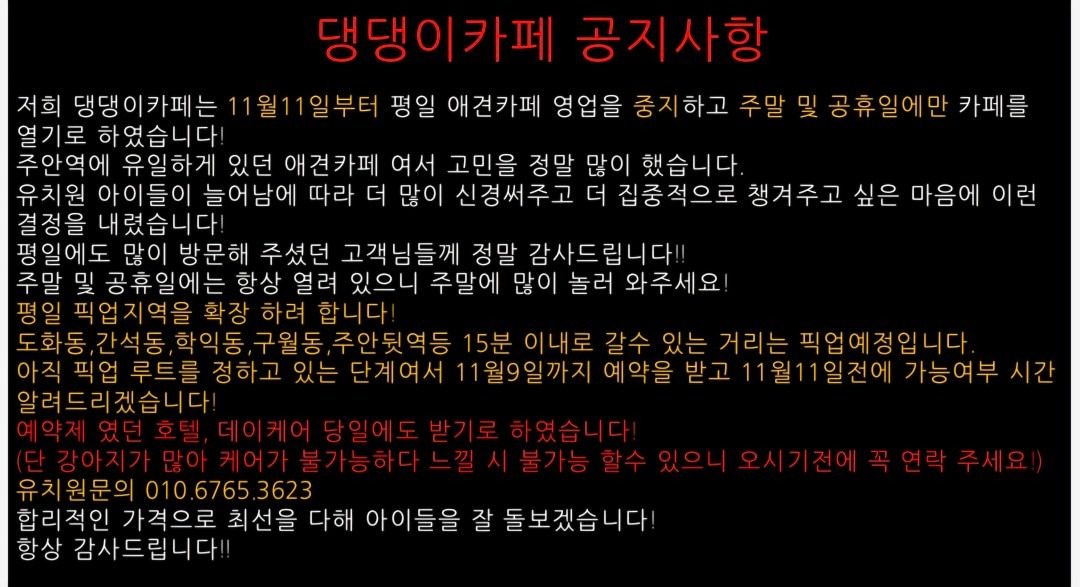 주안 댕댕이카페 카페 운영 중지 및 픽업지역확장