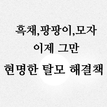 혼자 고민 하지 마시고 편하게 채팅주세요❤️