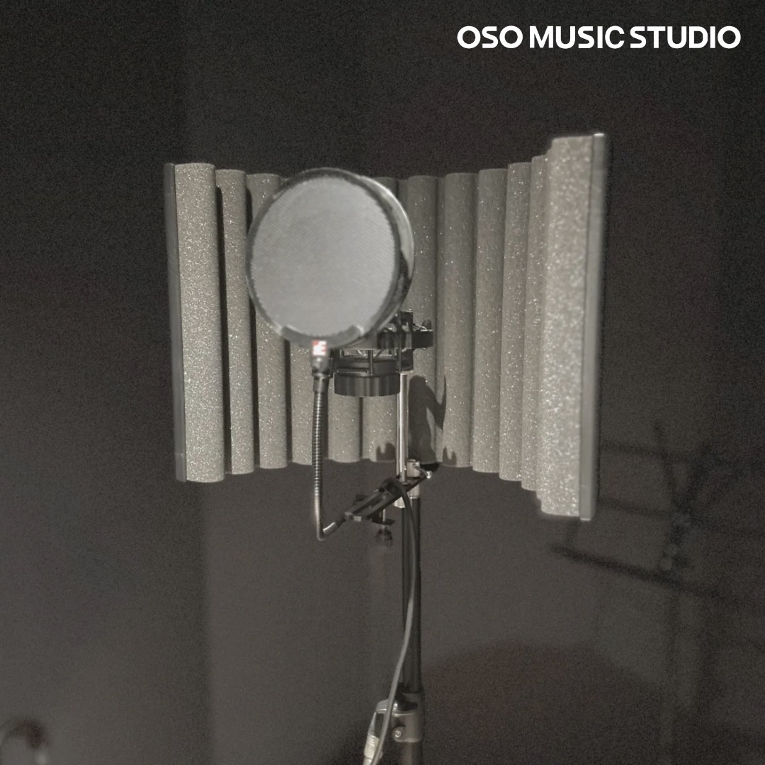 OSO MUSIC STUDIO picture 1