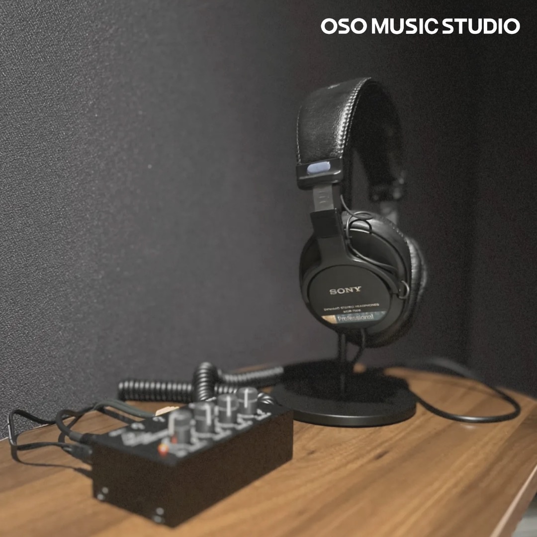 OSO MUSIC STUDIO picture 2