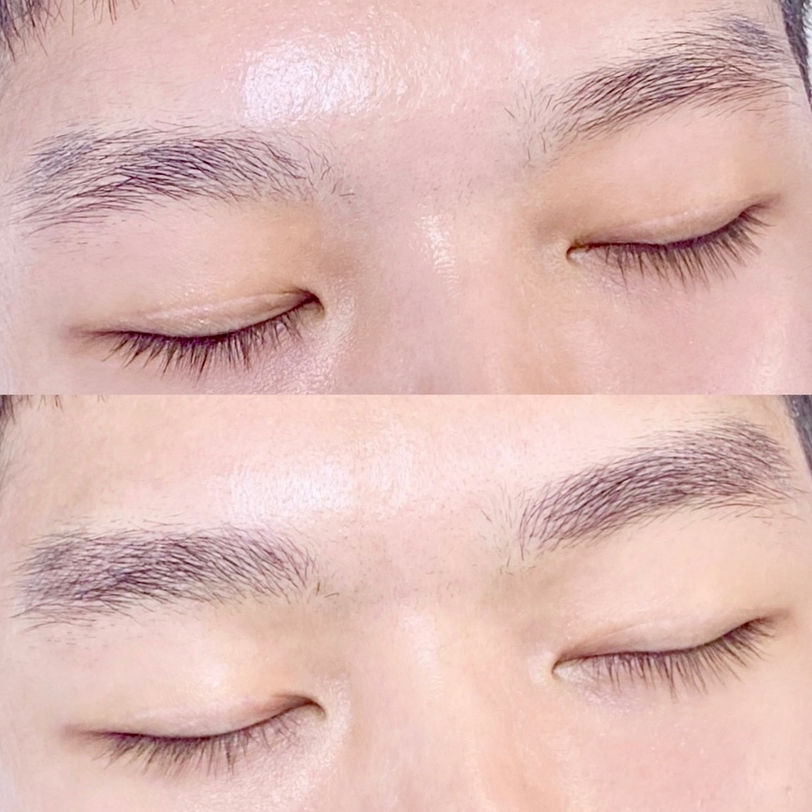서울특별시 자연결눈썹