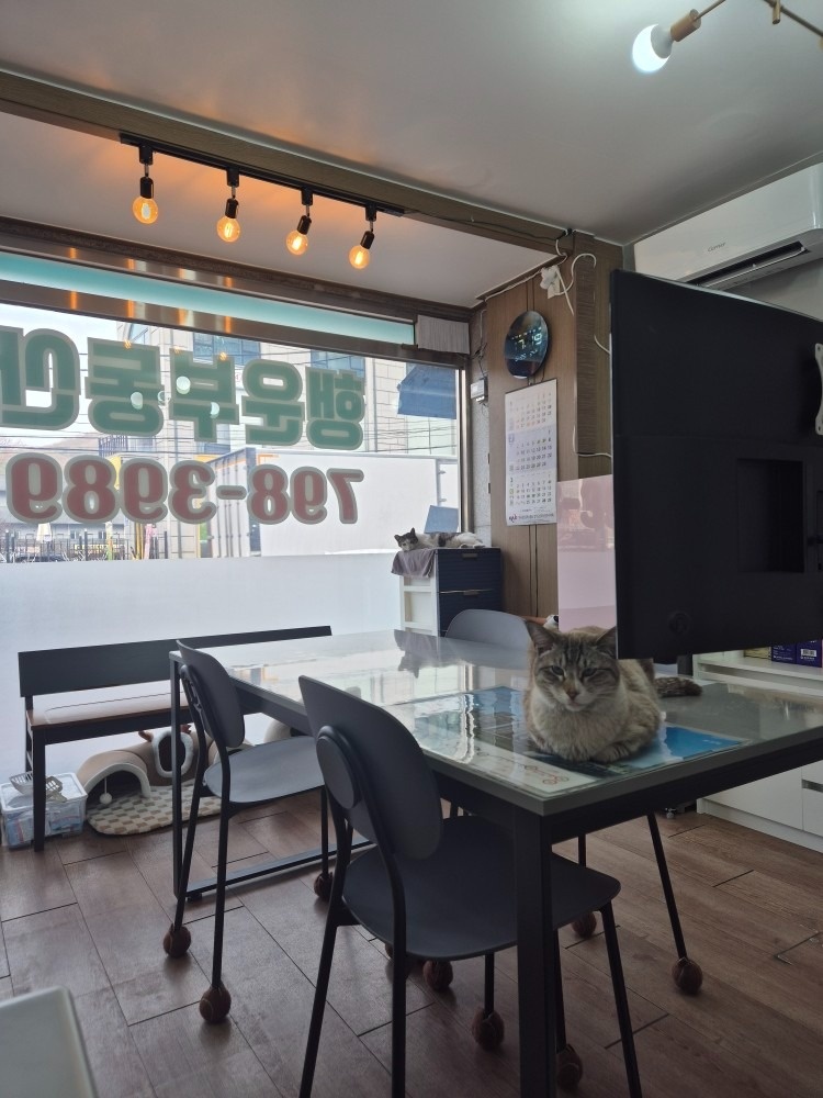 행운공인중개사사무소 picture 6