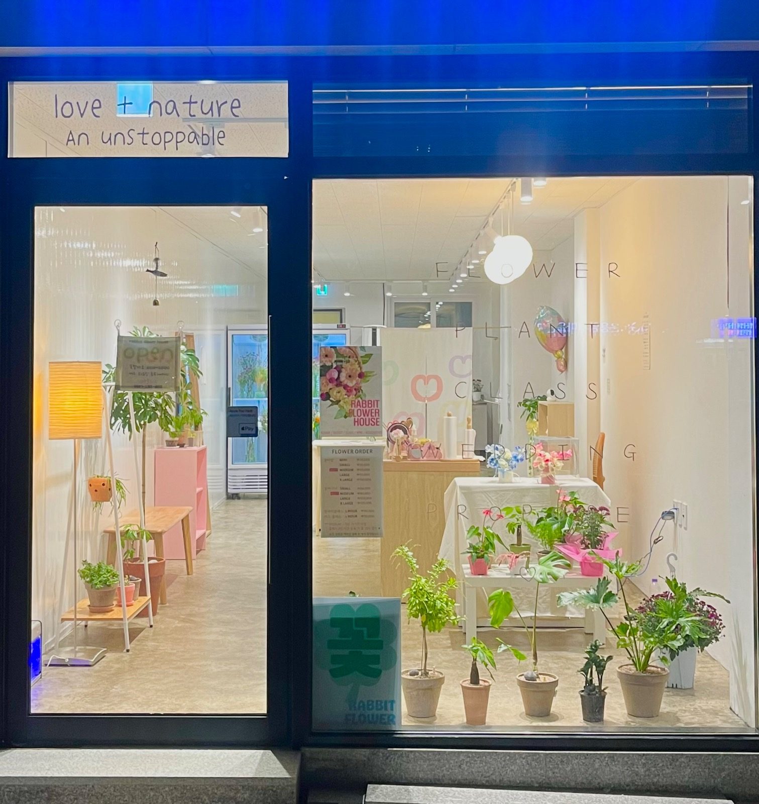 동남지구 꽃집 오픈이벤트🎉