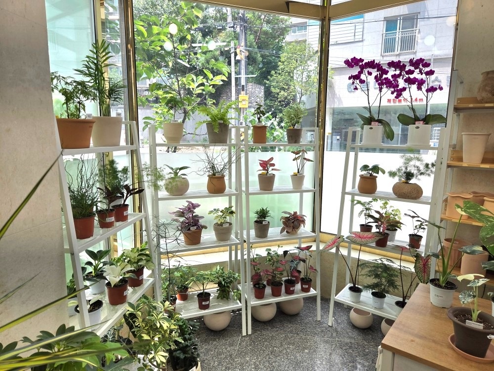 해피트리 꽃정원 picture 2