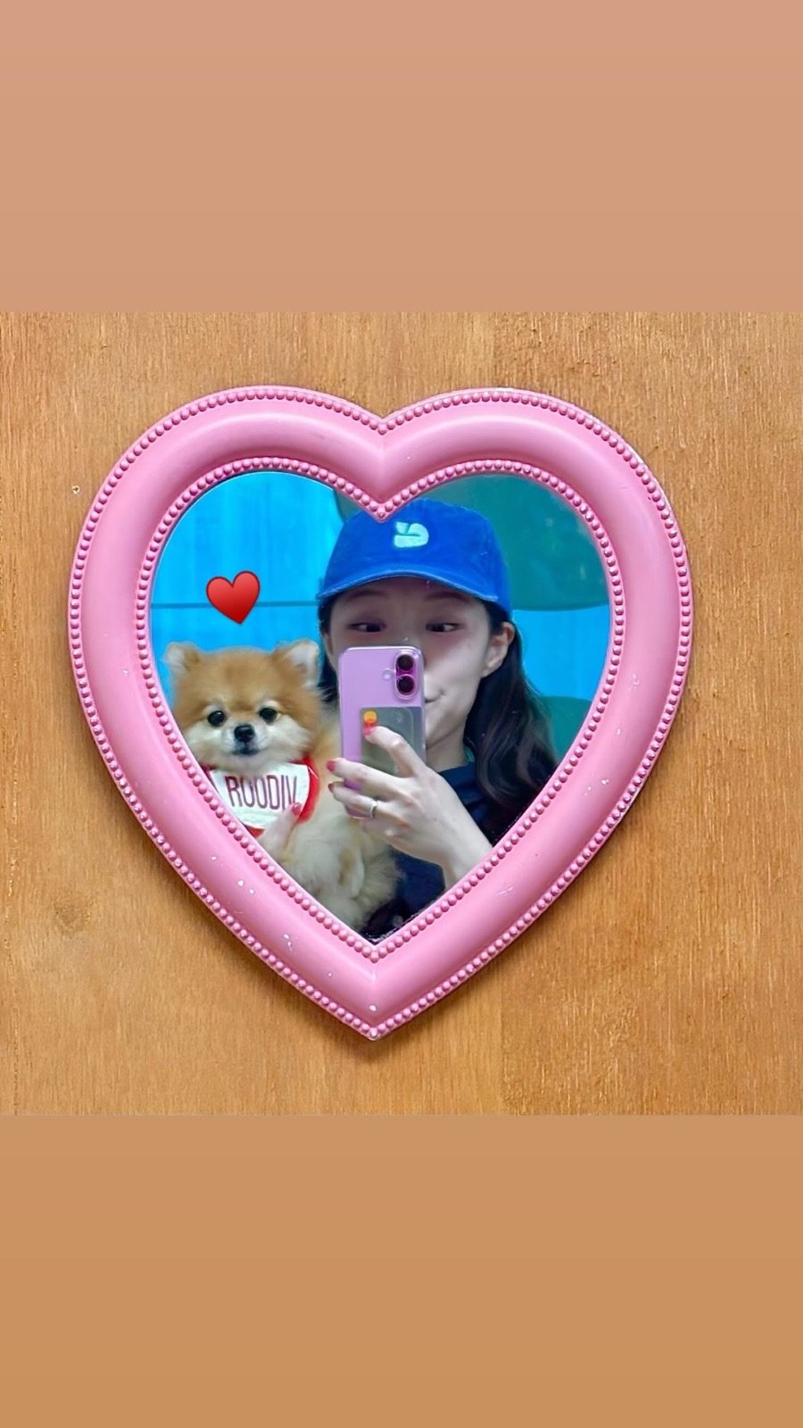 다롱이♥️