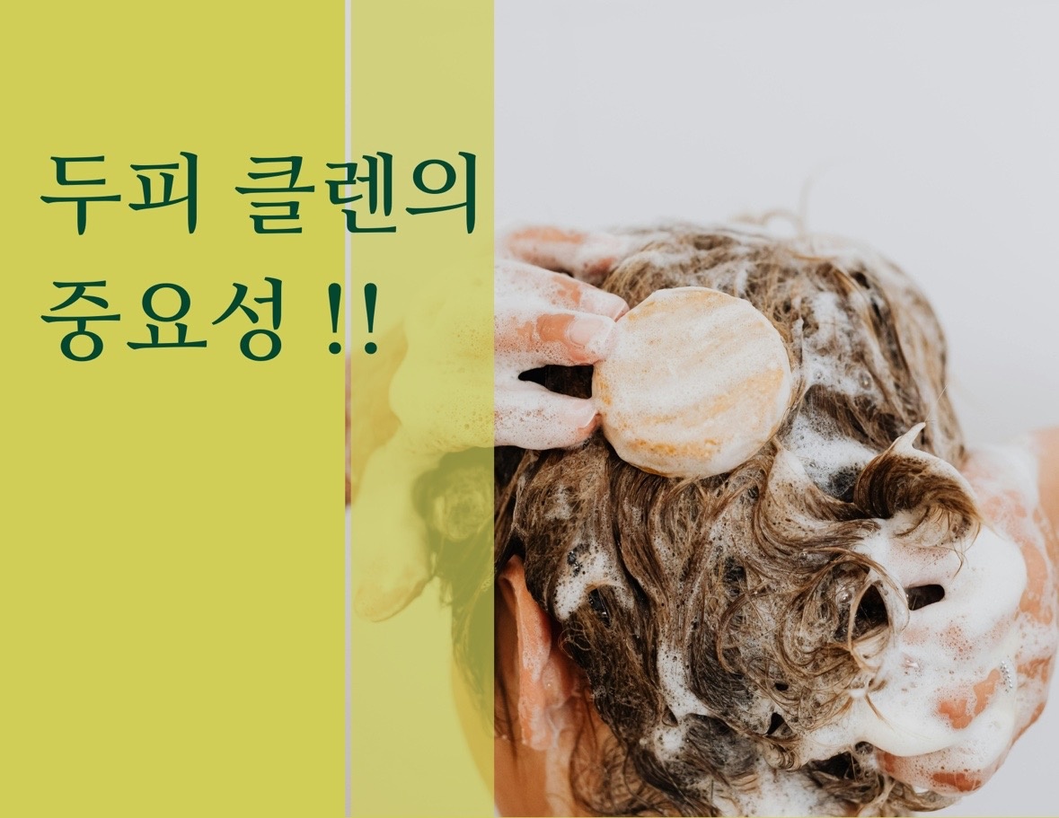 스카터라운지 원주점 picture 9