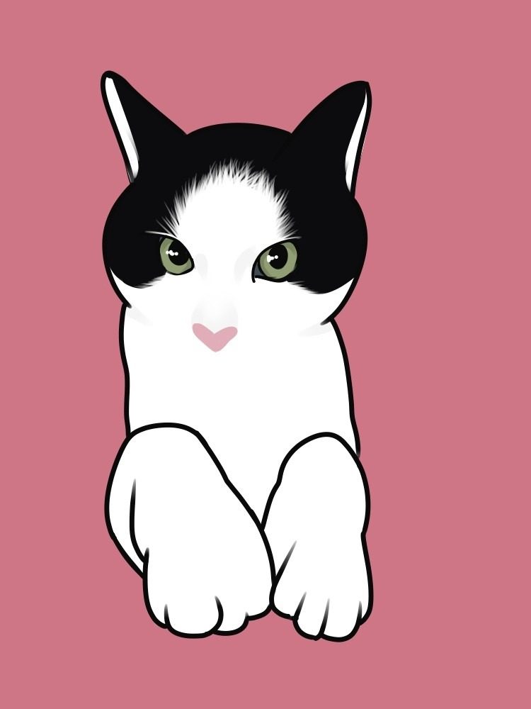 귀여운 고양이 친구들❤