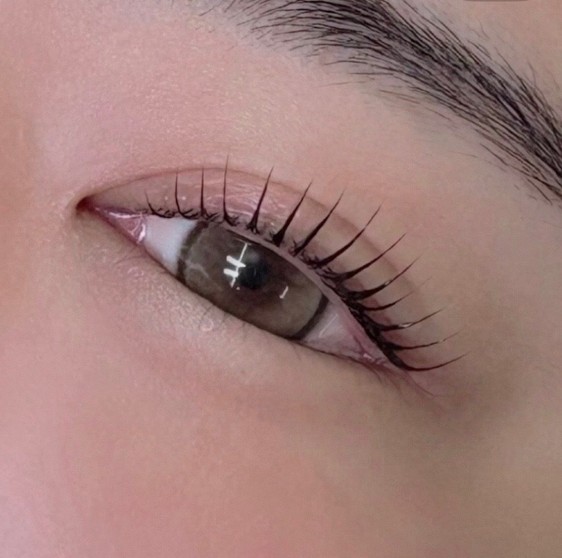 ✨[마감] 속눈썹펌 무료 모델 구합니다✨