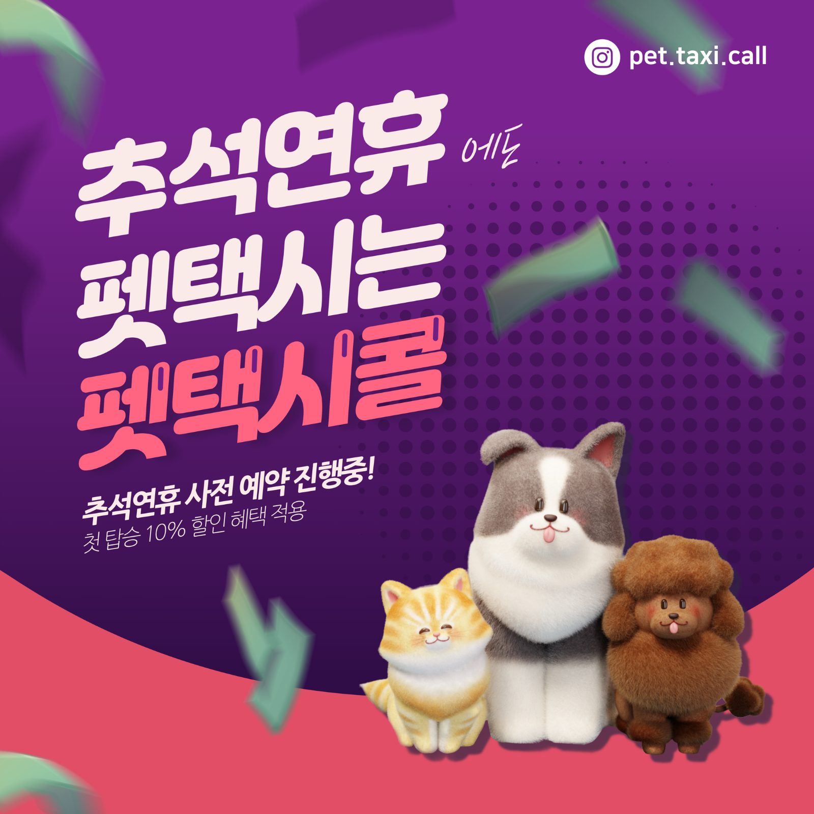 추석연휴에도 펫택시 예약은, 펫택시콜🐶😺