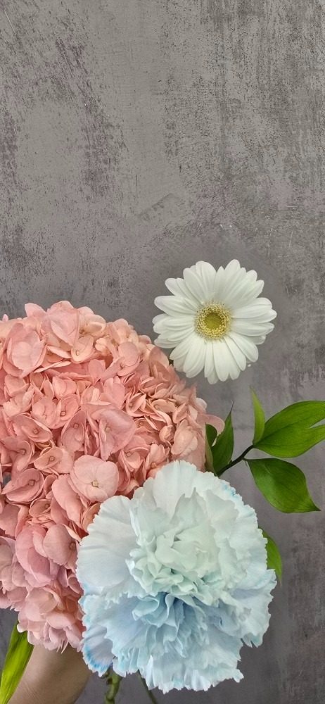 수국 9900원 이벤트