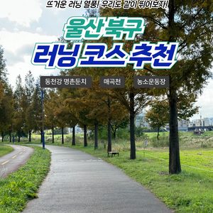 울산 북구 러닝코스 추천🏃‍♂️