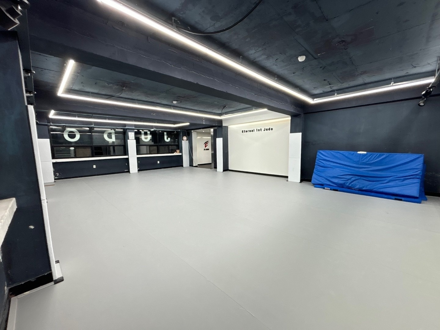 E1 유도 picture 2