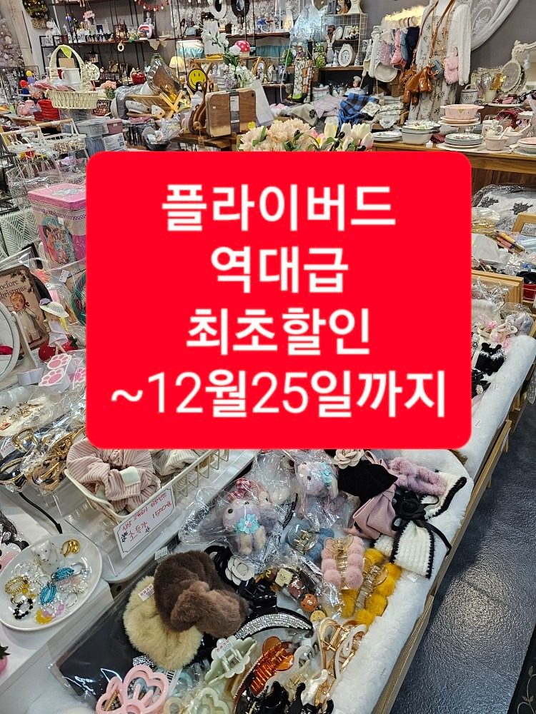 플라이버드×당근마켓단골 역대급할인 ~12월25일까지