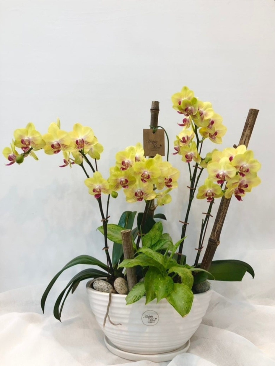 해피모아꽃집 picture 8