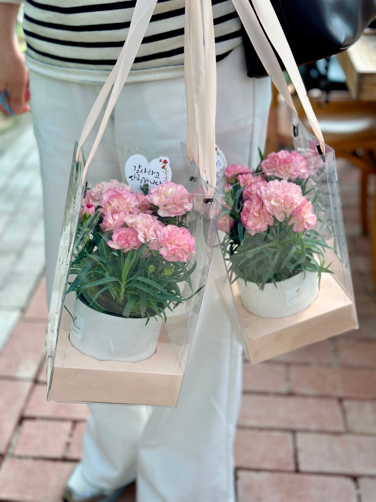 루시룸화원 다양한 카네이션 판매 중이에요!💐