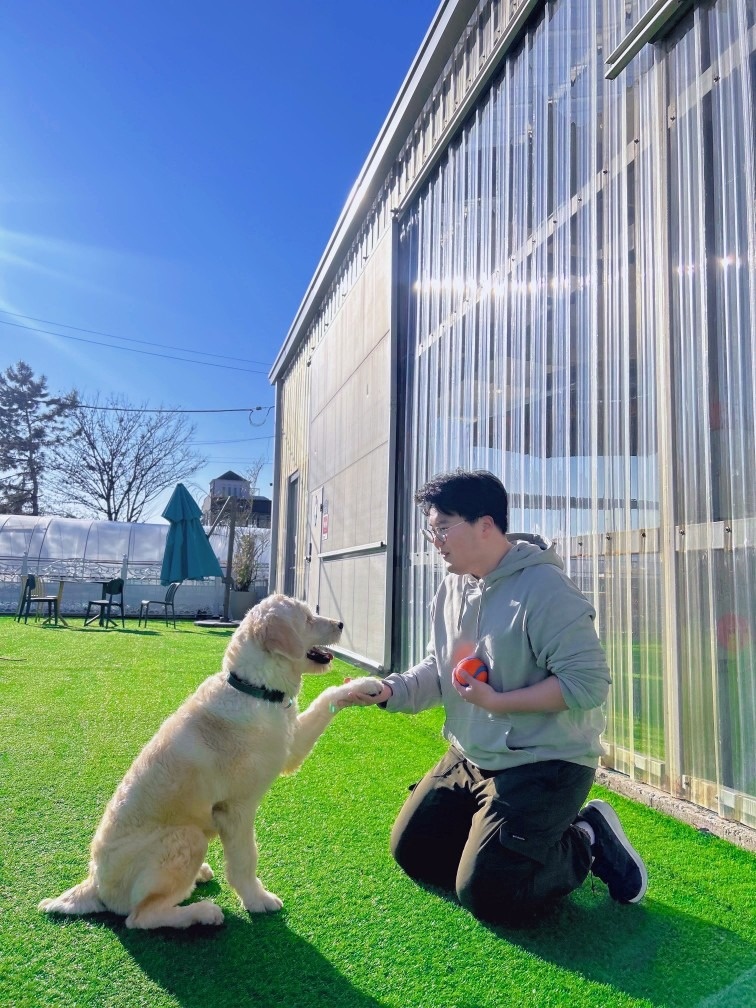 강아지 선생님 (행동교정/산책교육) picture 1