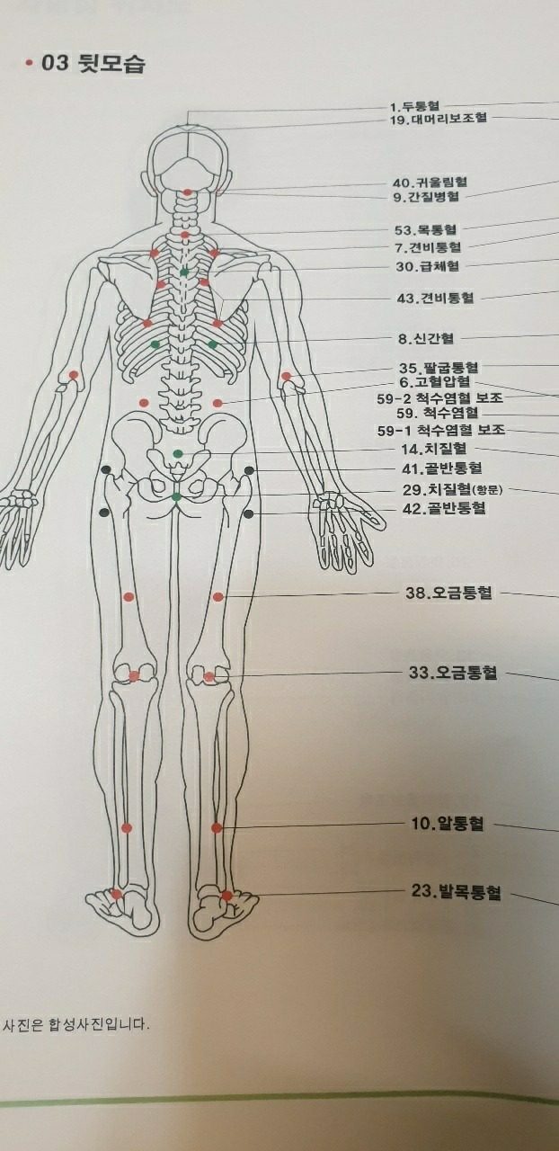 몸속 하수구를 청소하세요