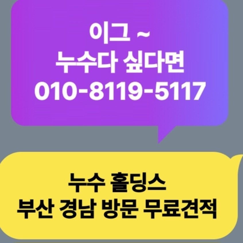 누수신고센터_24.11.부산진구 현장