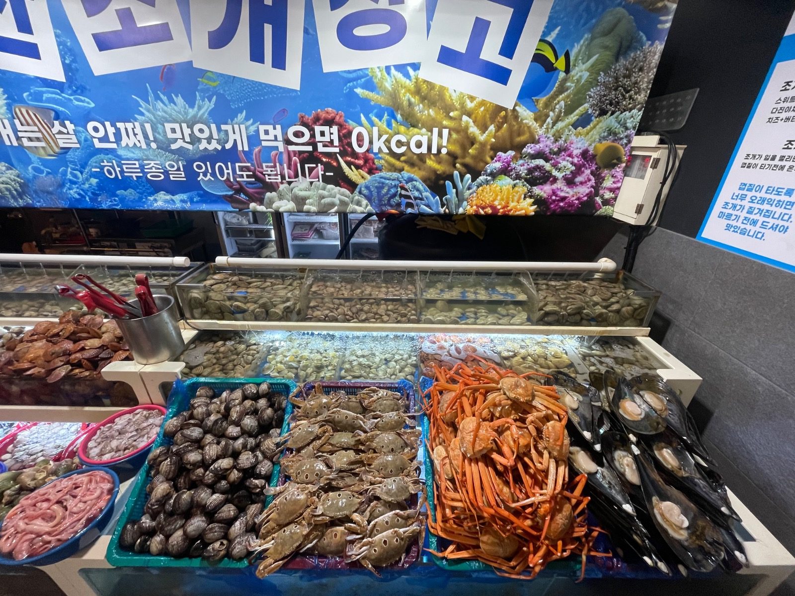 조개구이+해산물+고기 2만원대에 무제한?