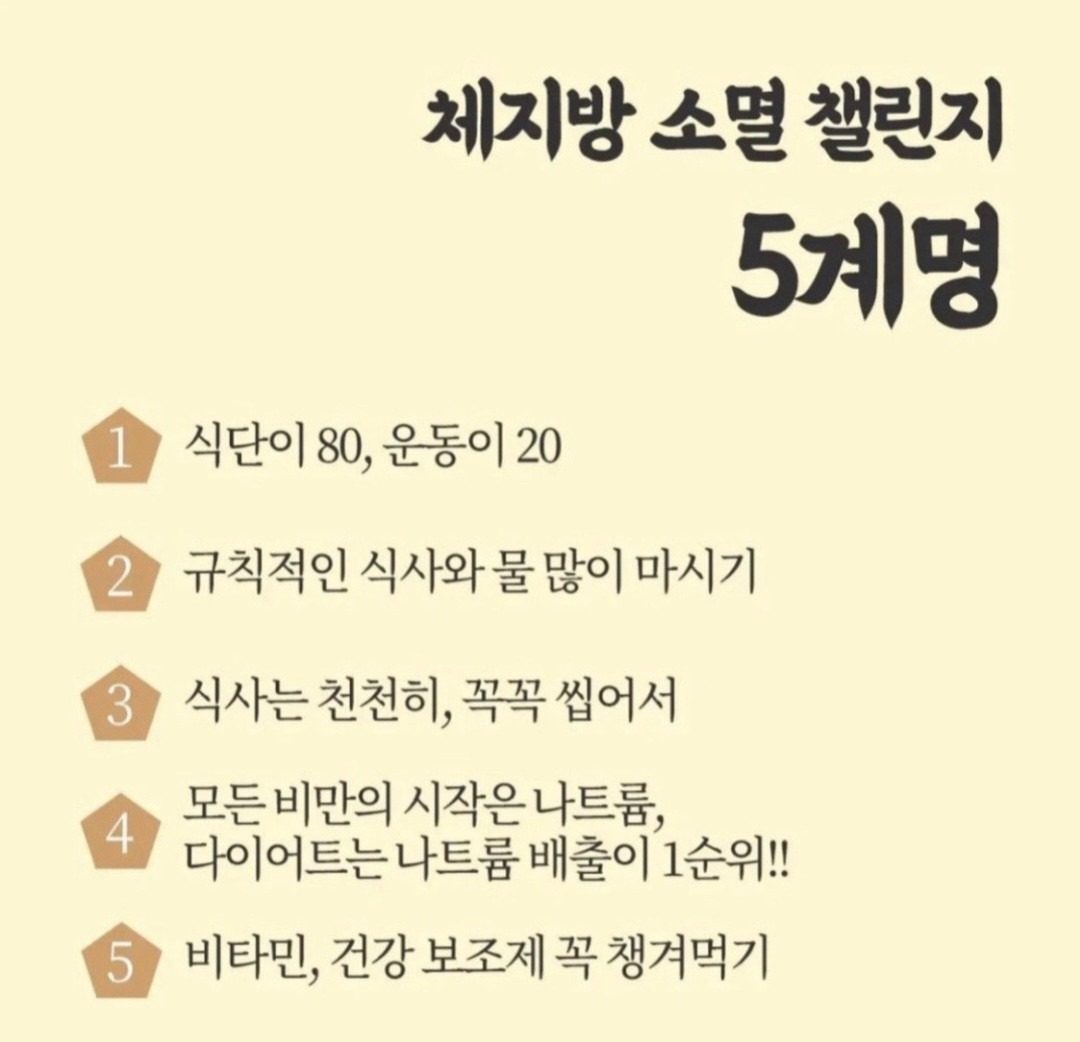 체지방 소멸 5계명