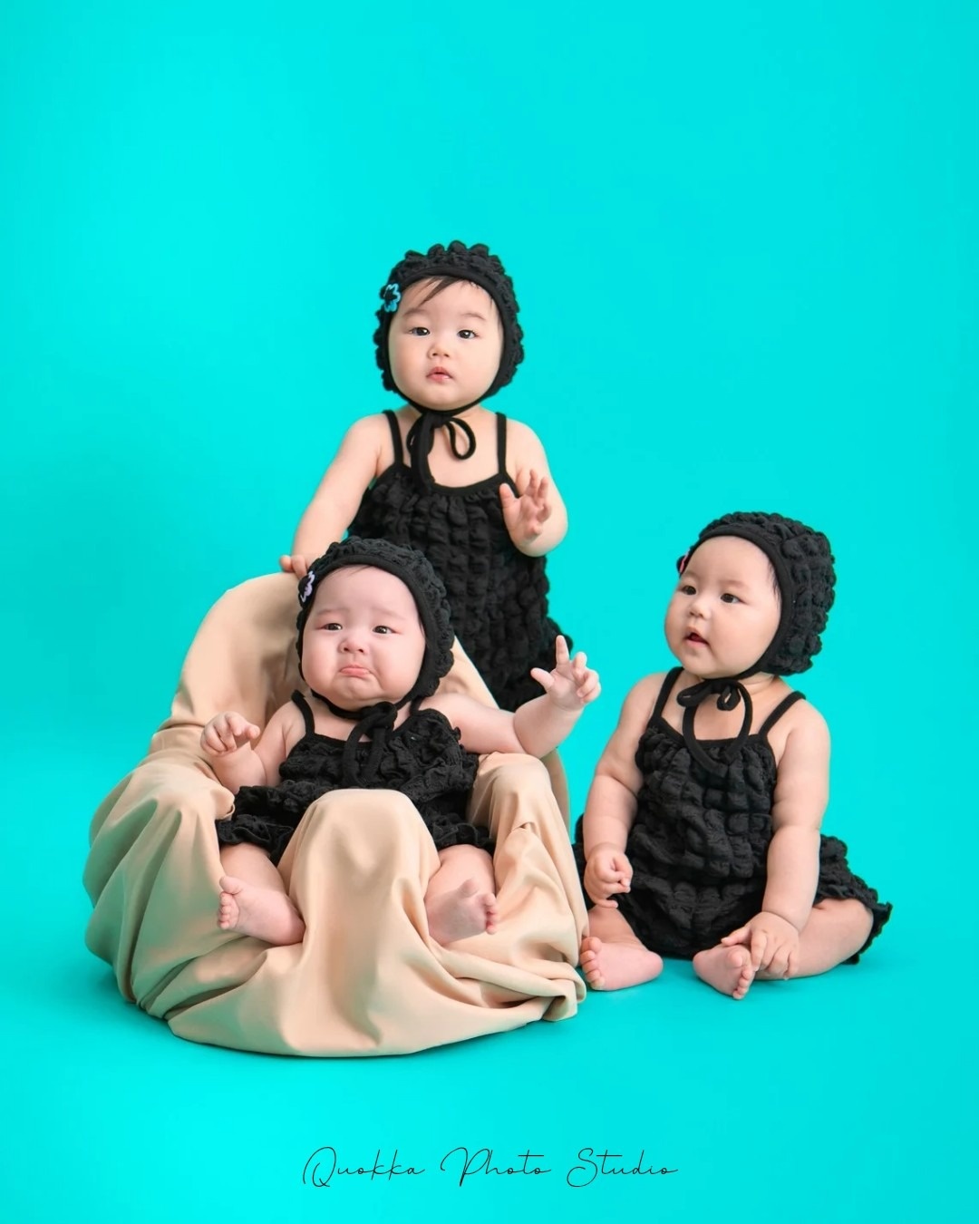 쿼카사진관 picture 0