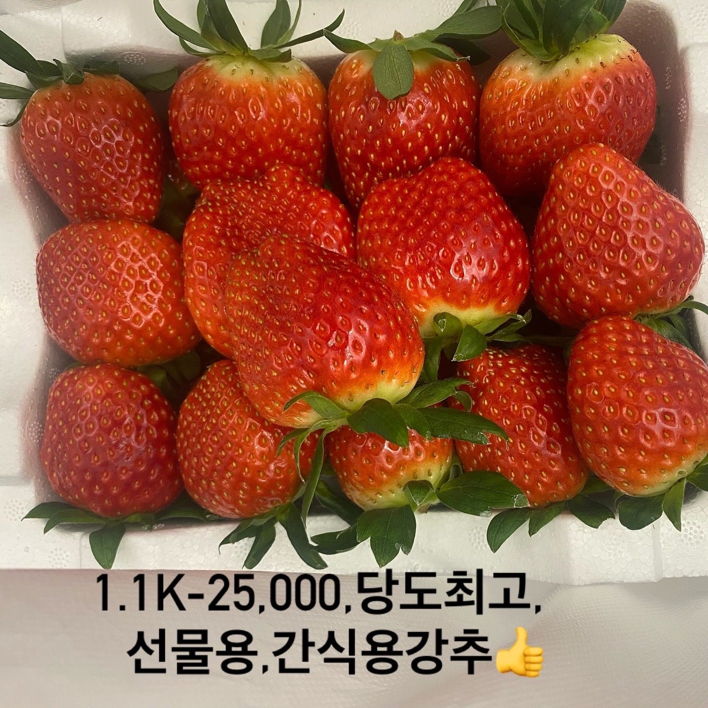 크고 달고 맛있는 딸기 판매합니다🍓🍓