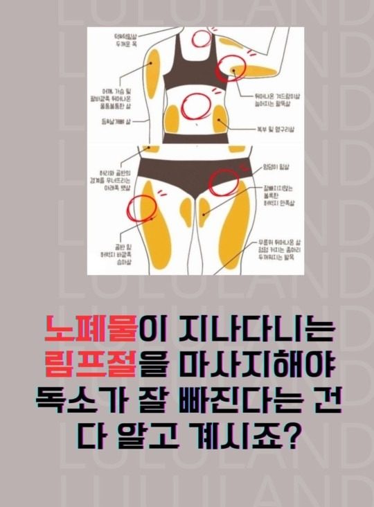 🚨🚨림프순환이  중요한 이유🚨🚨
