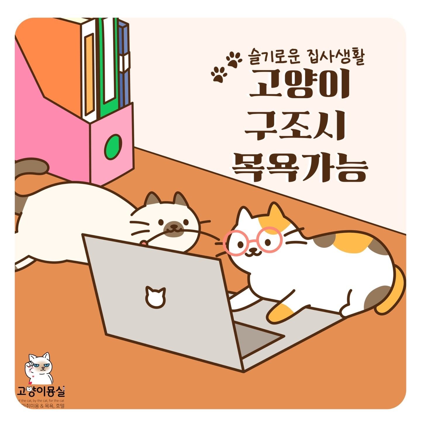 고양이 구조시, 목욕 가능합니다 :)