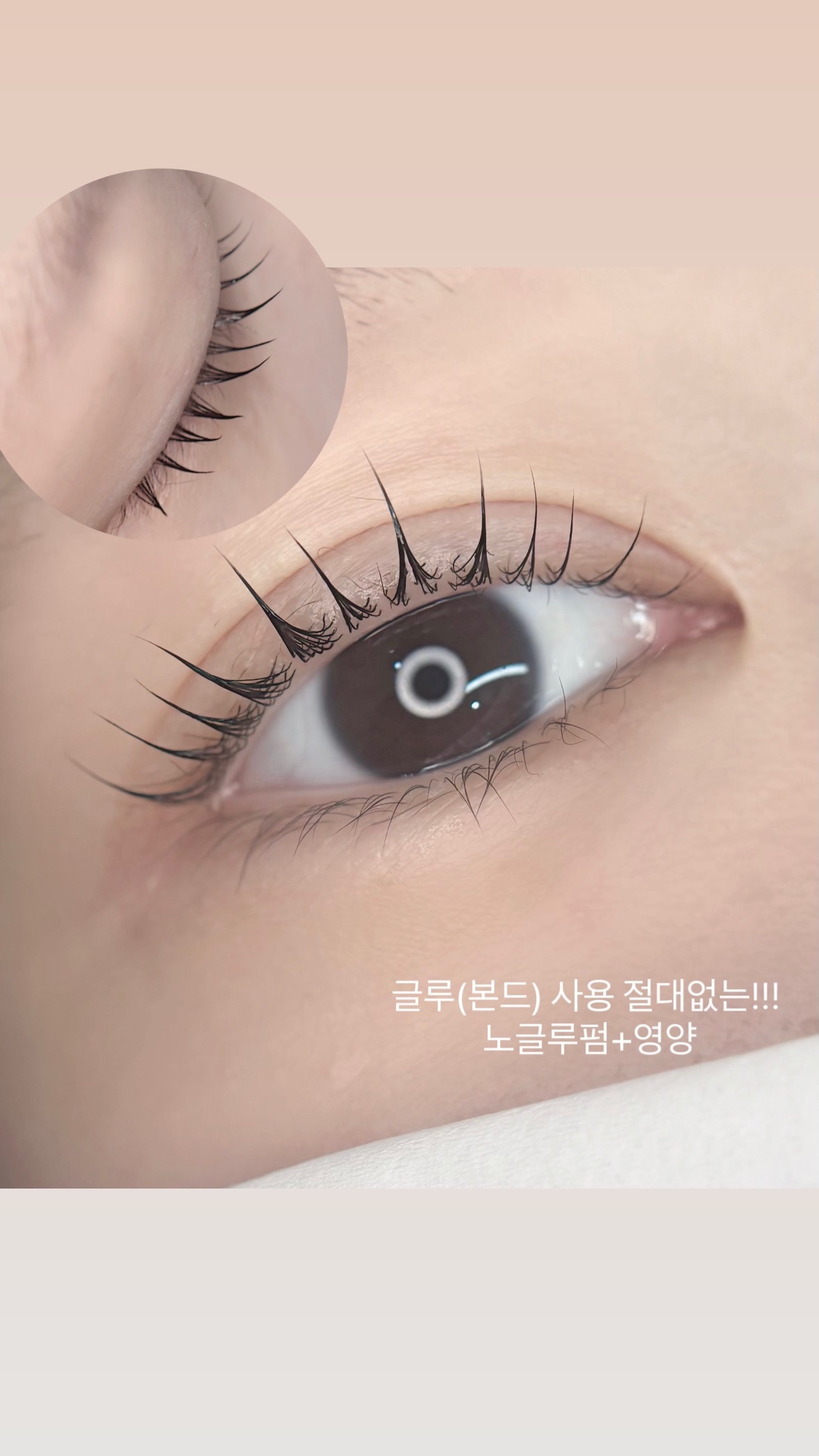 오브림 picture 6