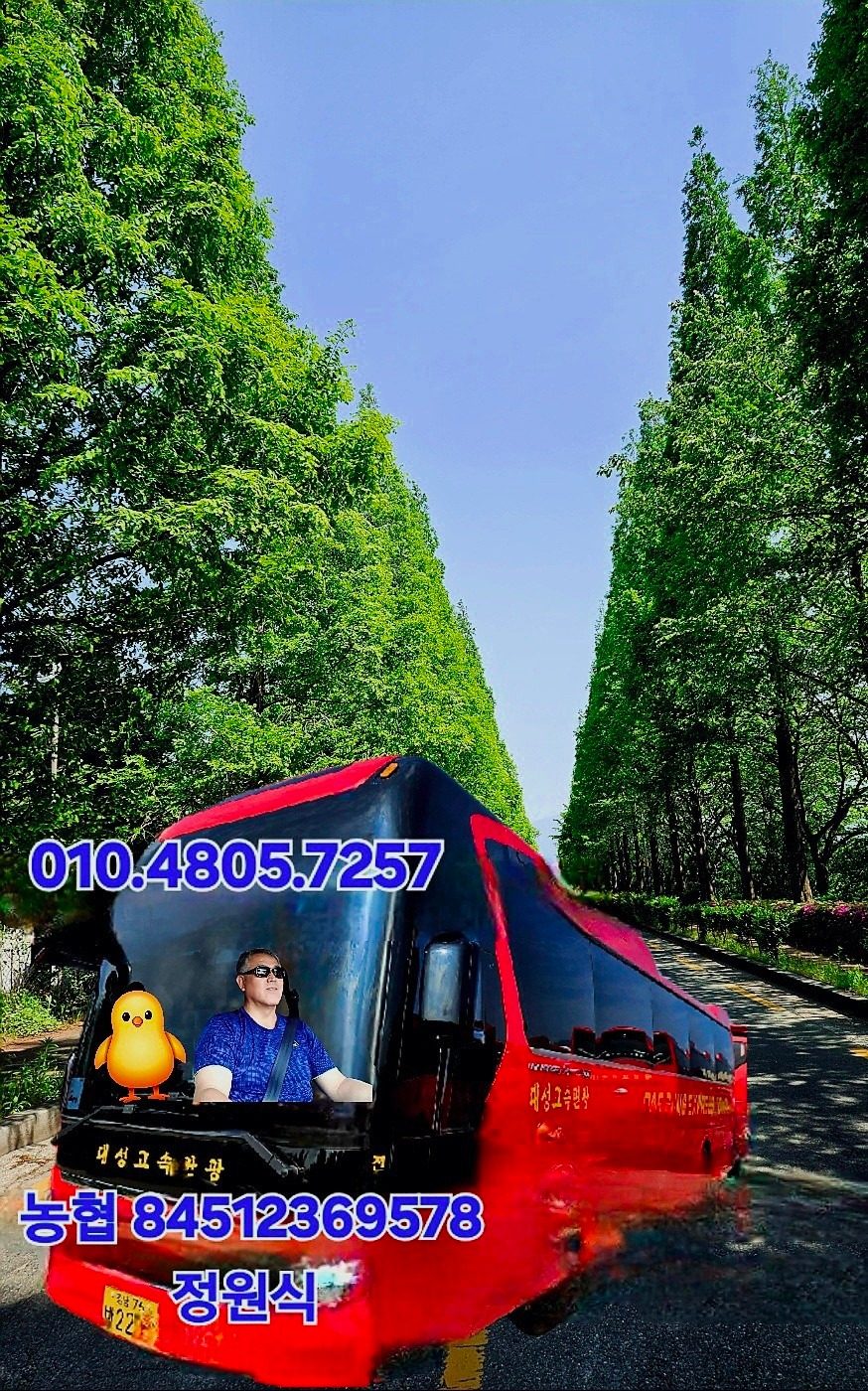 대원동 친절한 이동 서비스 35년 경력