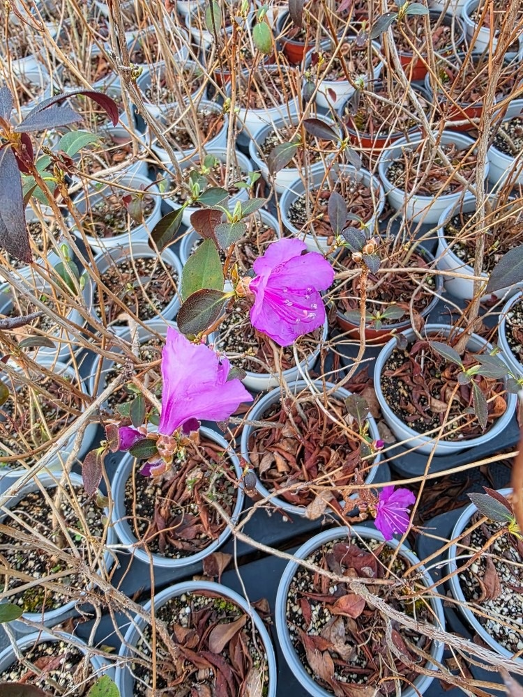 세그루농업회사법인 picture 5