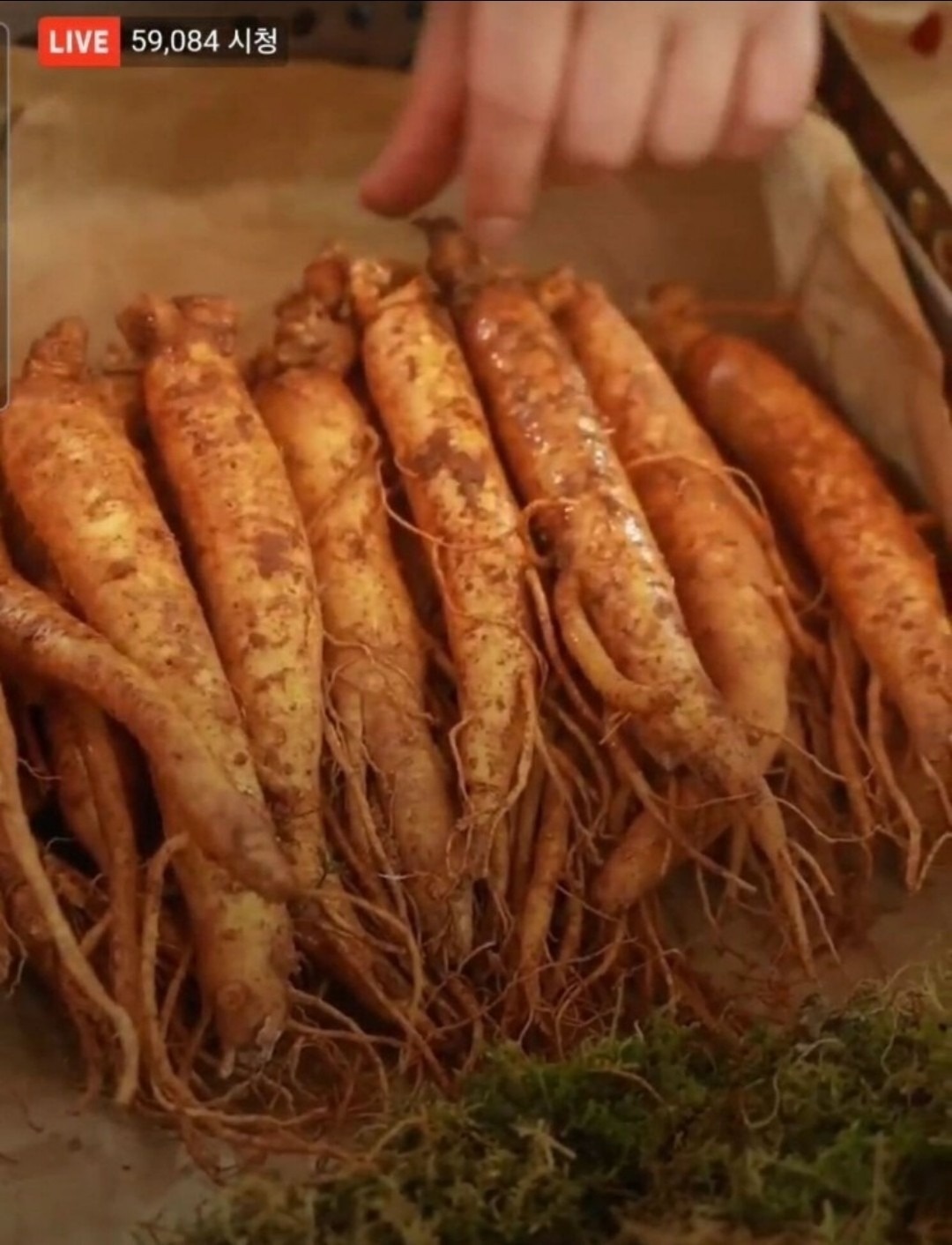 김가네 인삼농장 picture 9